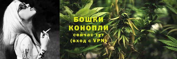 индика Орехово-Зуево