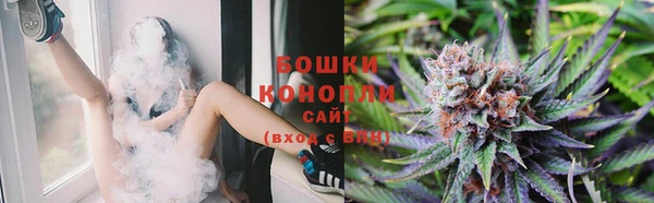 индика Орехово-Зуево