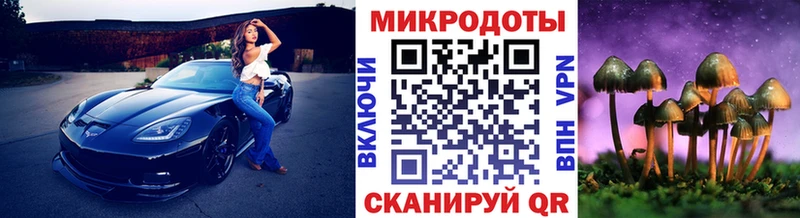 Галлюциногенные грибы Psilocybine cubensis  Богданович 