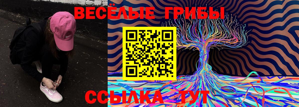 Галлюциногенные грибы Magic Shrooms  Псилоцибиновые грибы прущие грибы  Богданович 