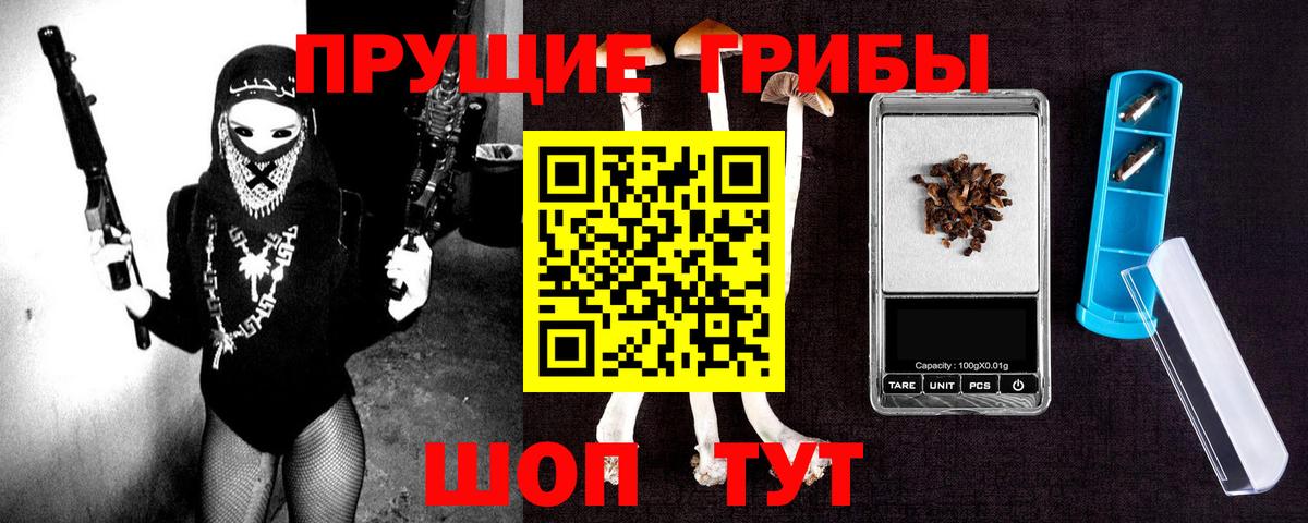 Богданович  Псилоцибиновые грибы Psilocybine cubensis  Вход с VPN 