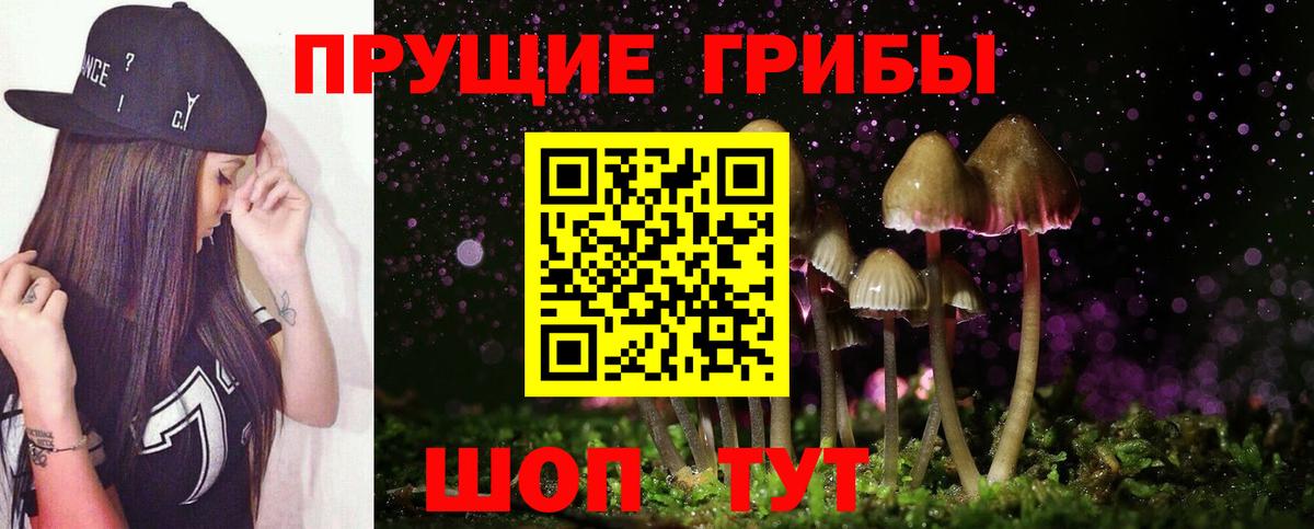 Галлюциногенные грибы Cubensis Богданович