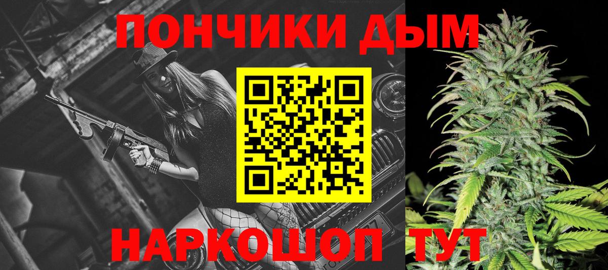 Бошки Шишки план Богданович
